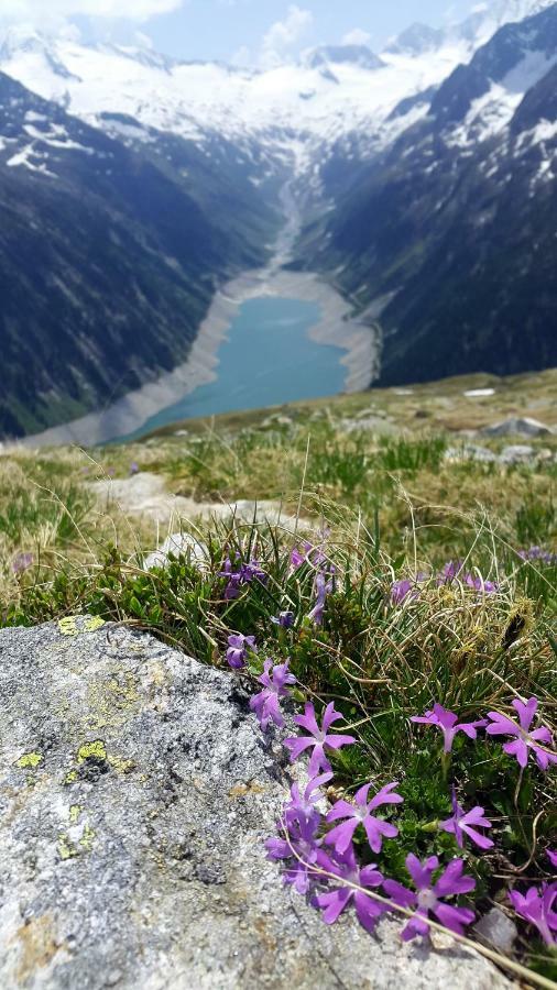 Hotel Pension Eichenhof Ried im Zillertal Bagian luar foto